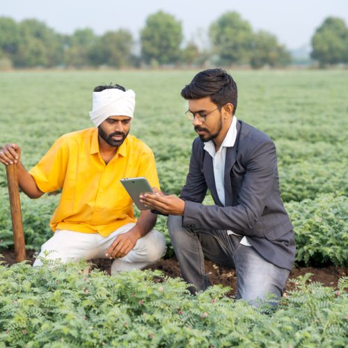 nmv agri college